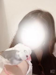 なつち