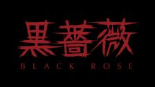 黒薔薇の風俗情報