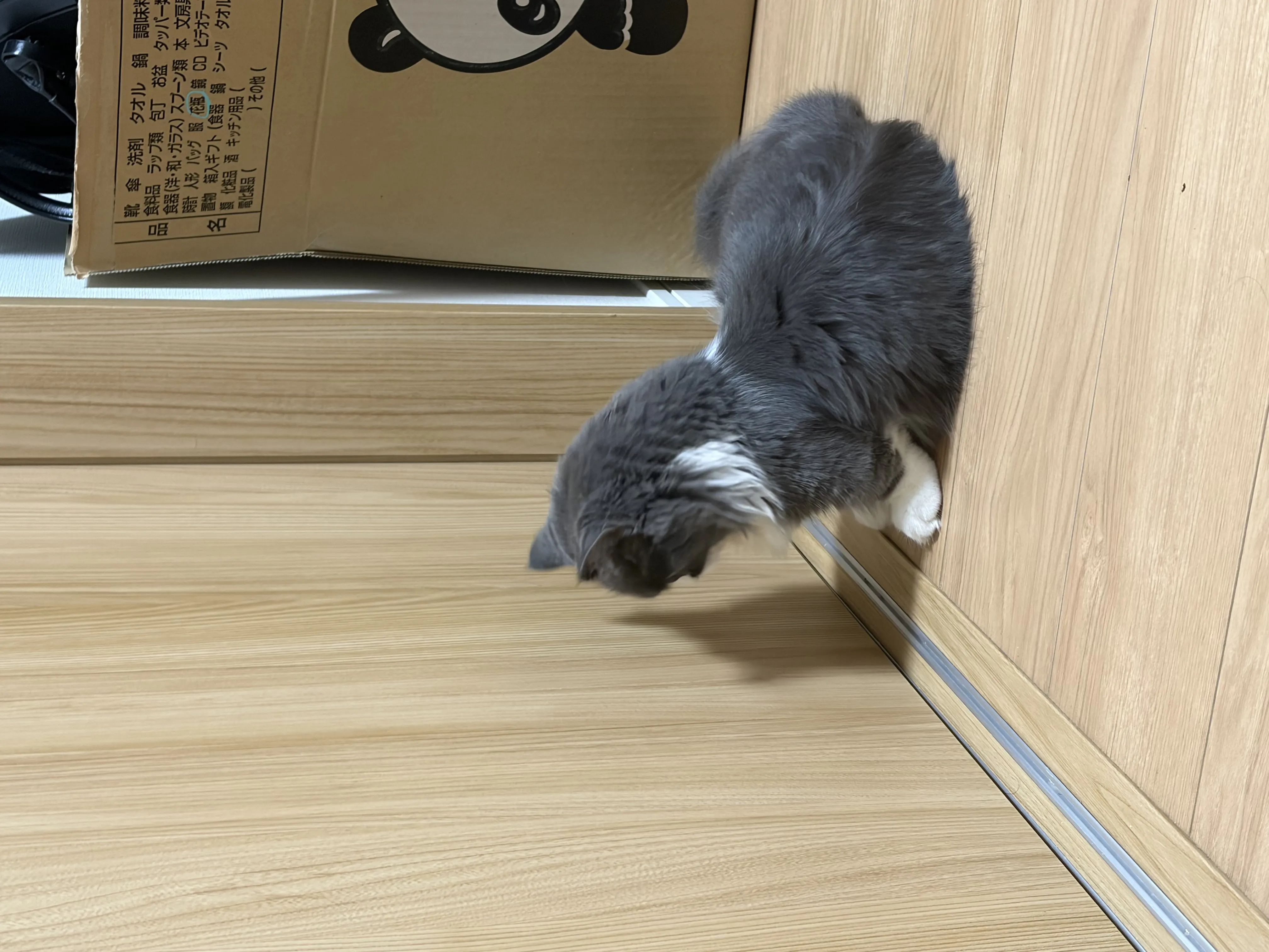 ましろの写メ日記