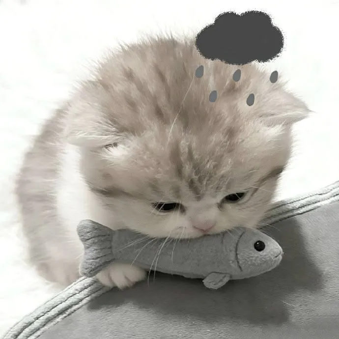 りおの写メ日記