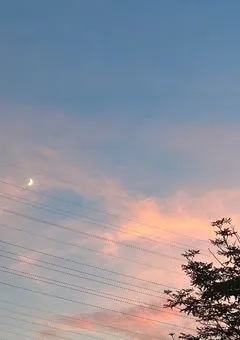 かれんの写メ日記