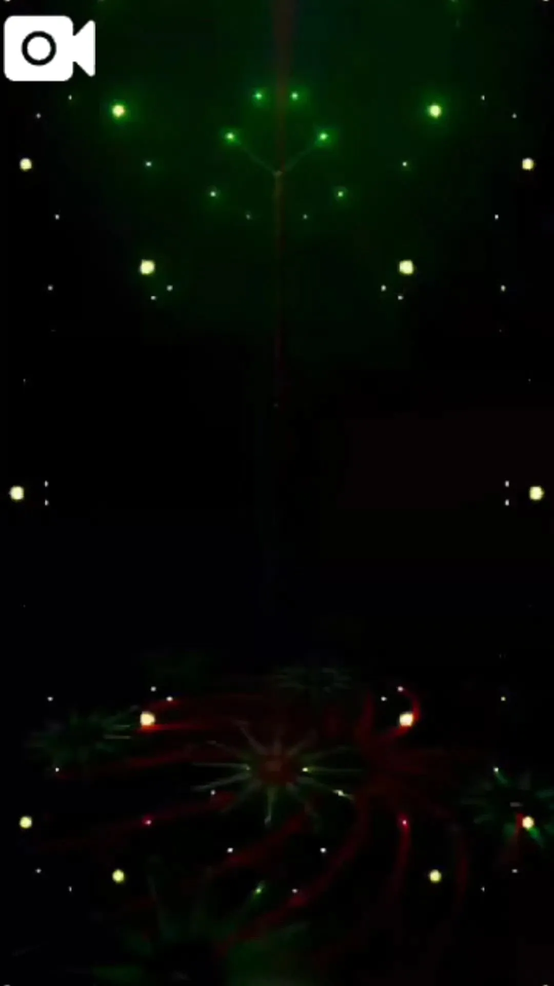 こむぎの写メ日記