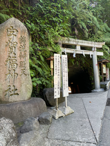 せれんの写メ日記