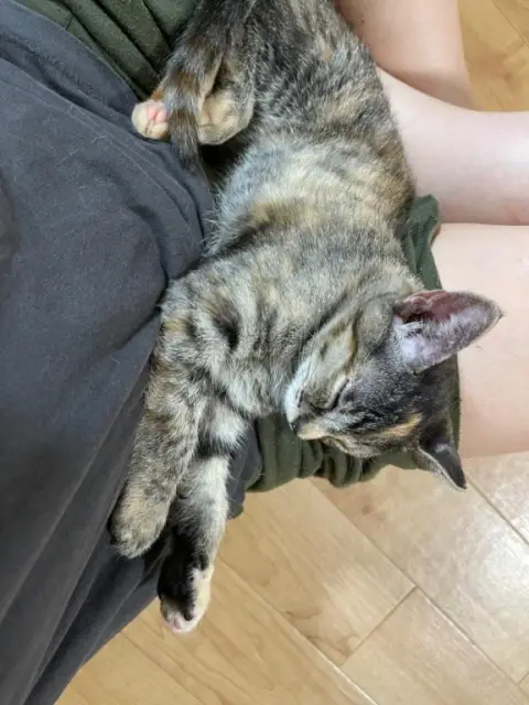 うのの写メ日記