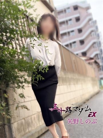 矢野しのぶ