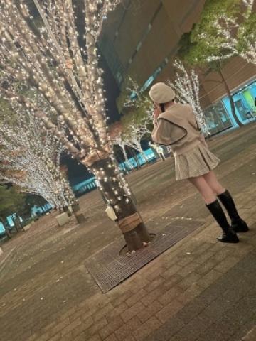 金子める